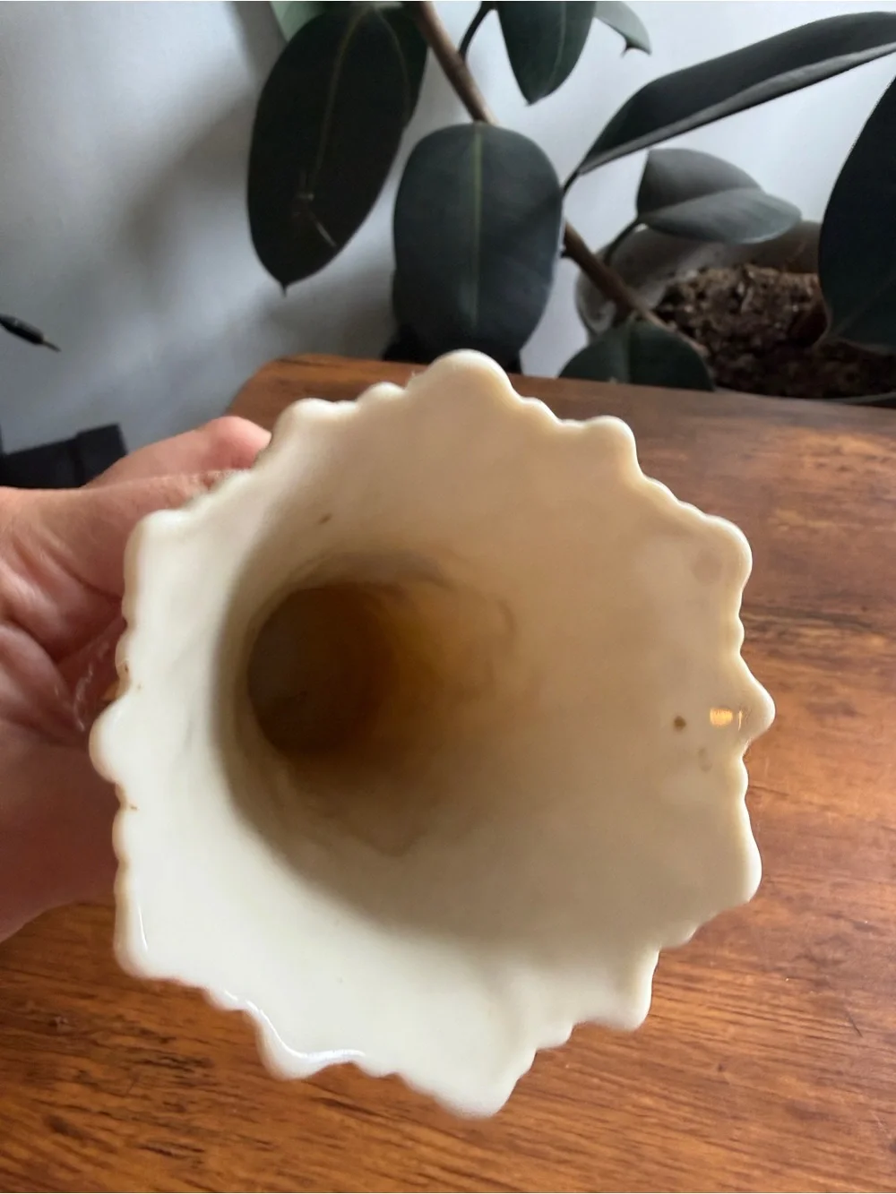 Lenox elegant cream